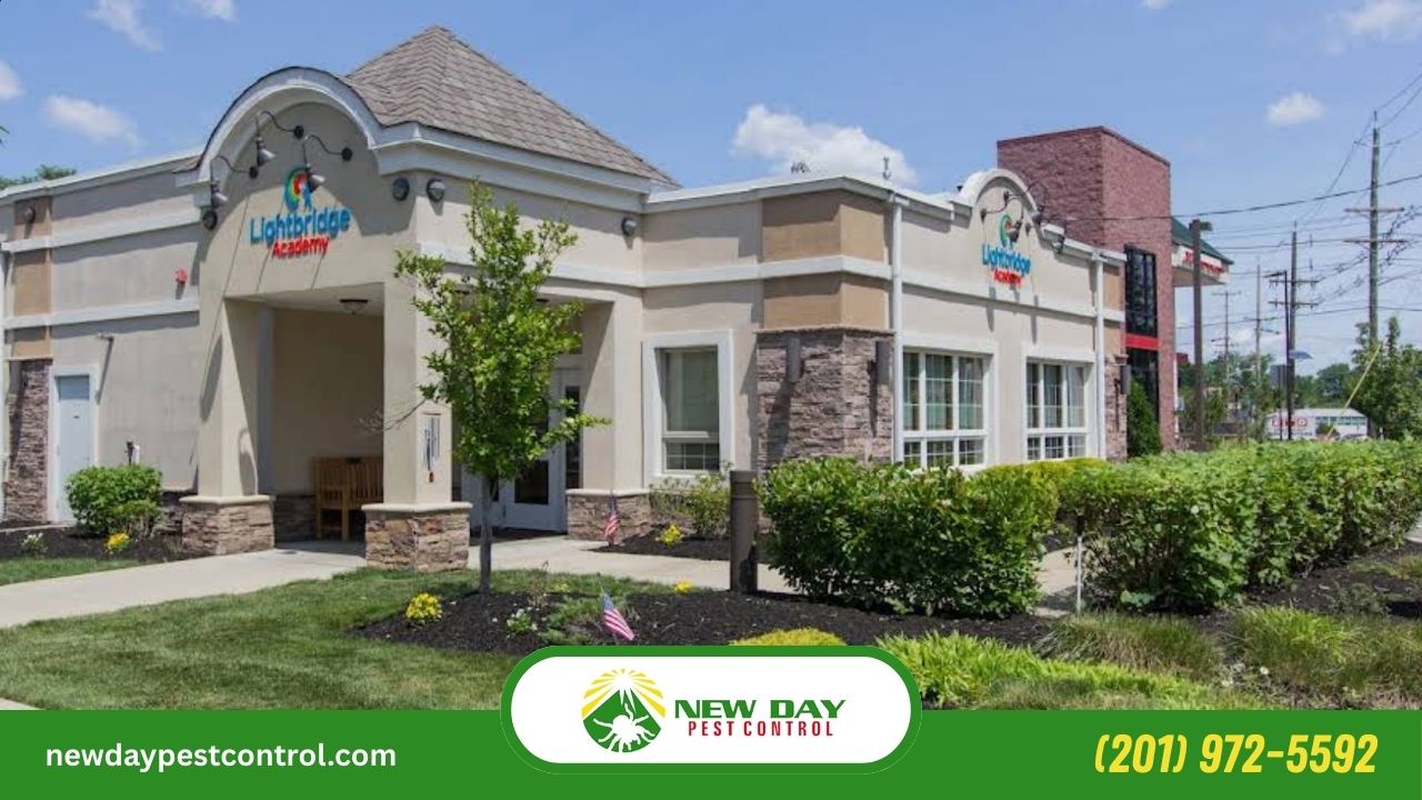 Pest Control Challenges in Westwood, NJ: Effective Strategies for Homeowners